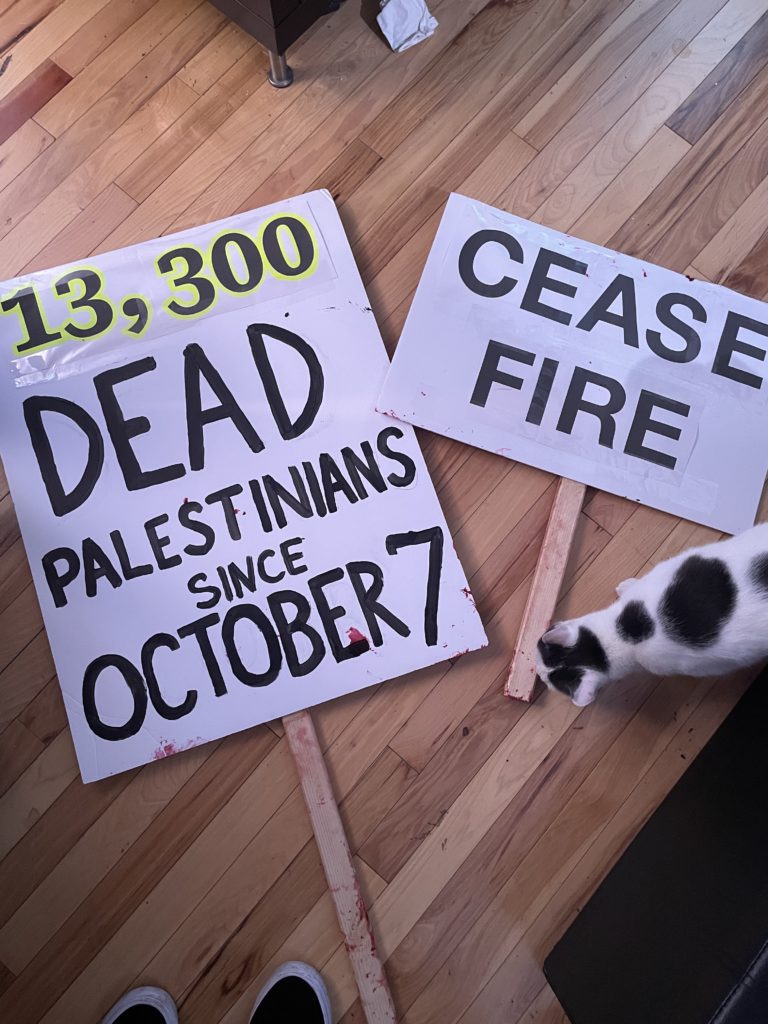 Two protest signs from November 2023 are laying on a wood floor. The bigger sign says "13,300 dead palestinians since October 7" and the smaller sign says, "ceasefire". There is a white cat with black spots standing to the right of the signs.