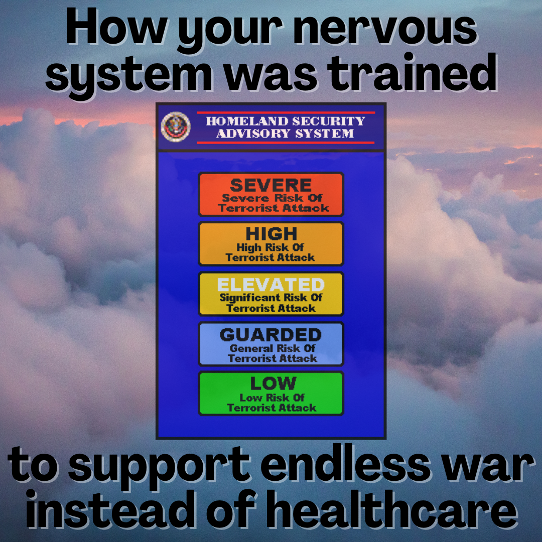 Square picture with pink and purple sunset cast through billowy clouds. The top copy reads "how your nervous system was trained" and bottom says "to support endless war instead of healthcare". In the foreground is a picture of the Department of Homeland Security threat level chart comprising five small stacked rectangles of different colors, labeled from low in green on the bottom to severe threat at the top in red.